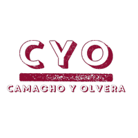 Cursos de Carolina Camacho y Washington Olvera